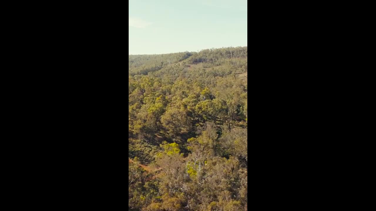 Hiking the Collie River Valley trails